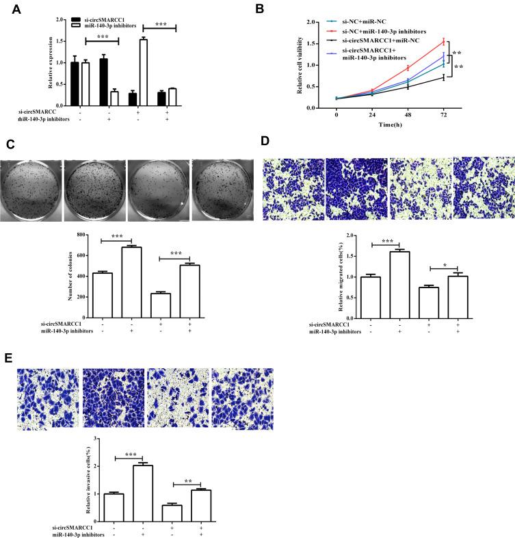 https://cdn.ncbi.nlm.nih.gov/pmc/blobs/5784/7320753/3f29b68ca905/CMAR-12-4899-g0005.jpg
