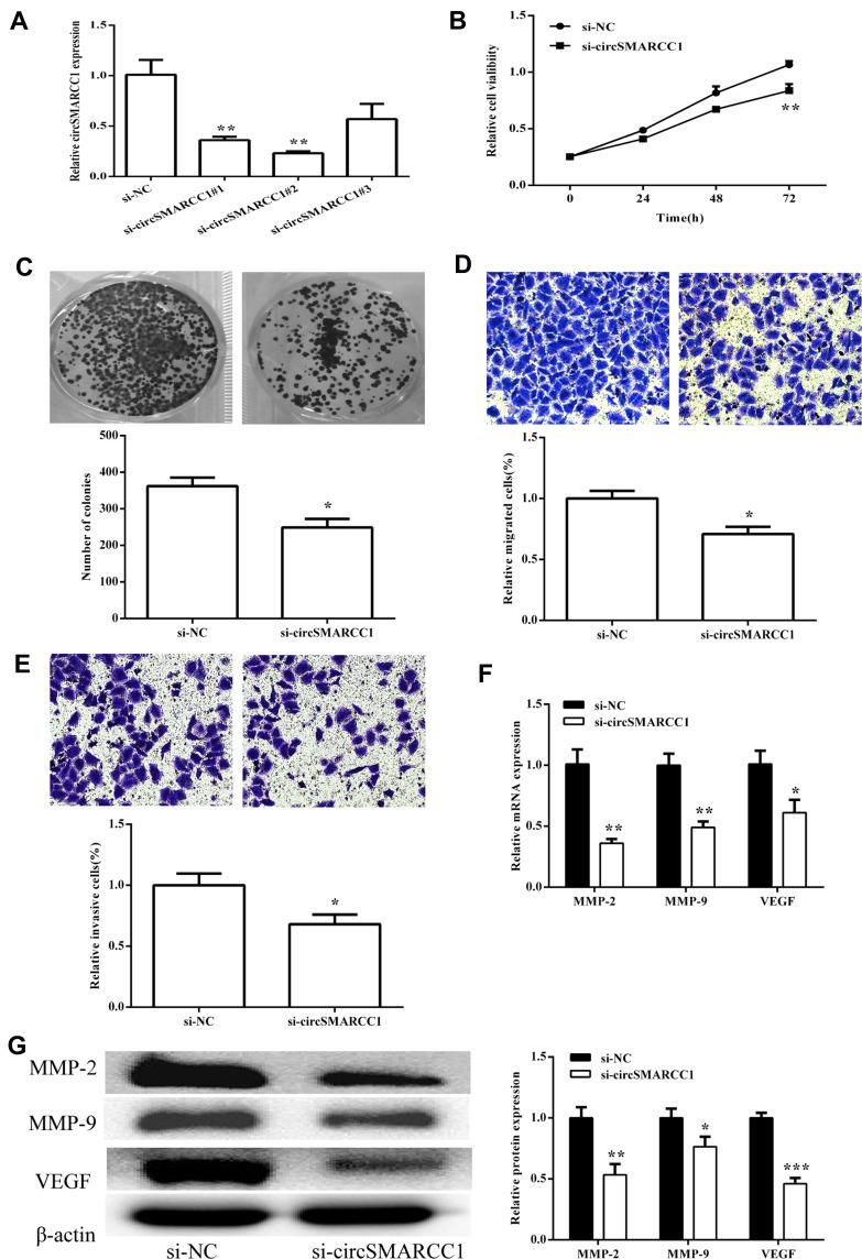 https://cdn.ncbi.nlm.nih.gov/pmc/blobs/5784/7320753/729940776436/CMAR-12-4899-g0002.jpg