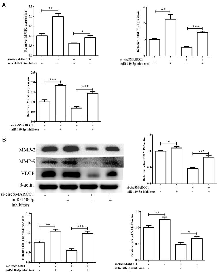 https://cdn.ncbi.nlm.nih.gov/pmc/blobs/5784/7320753/b50f19a658e6/CMAR-12-4899-g0006.jpg