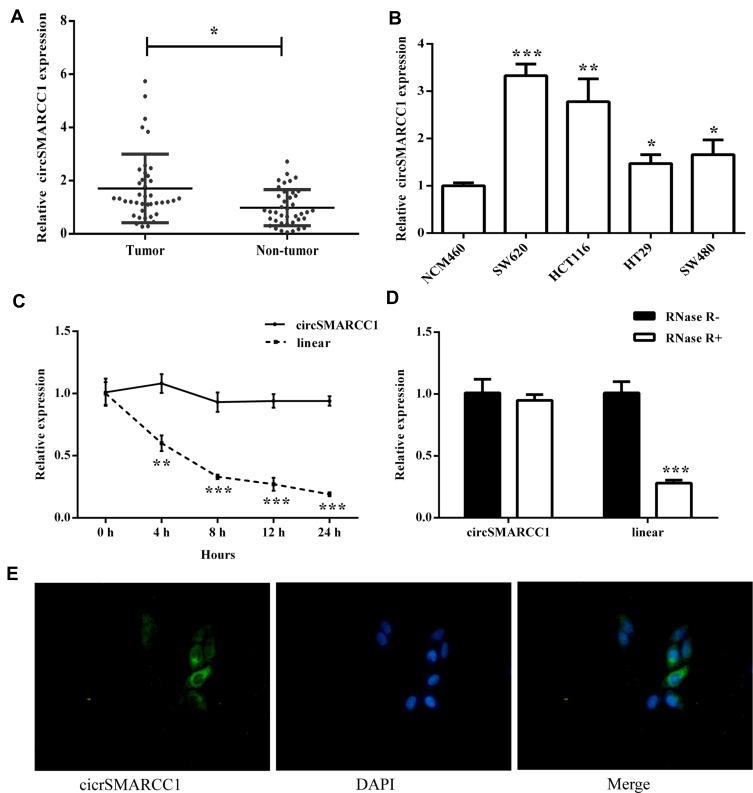 https://cdn.ncbi.nlm.nih.gov/pmc/blobs/5784/7320753/fbe79e41896d/CMAR-12-4899-g0001.jpg
