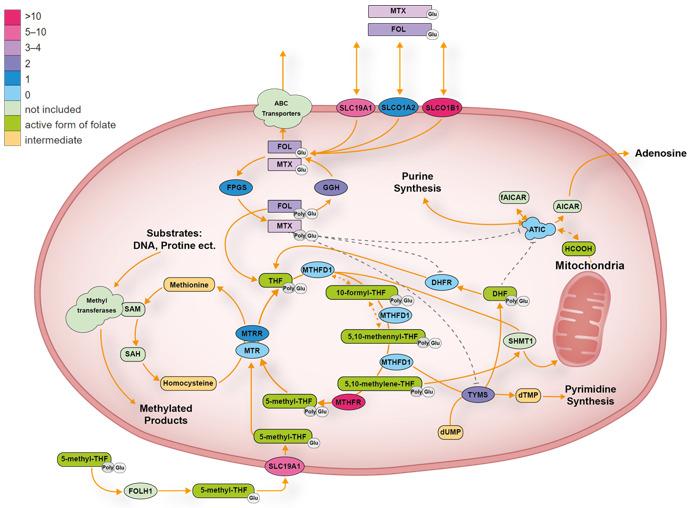 https://cdn.ncbi.nlm.nih.gov/pmc/blobs/5785/8201112/82d614a7aa90/cancers-13-02837-g003.jpg