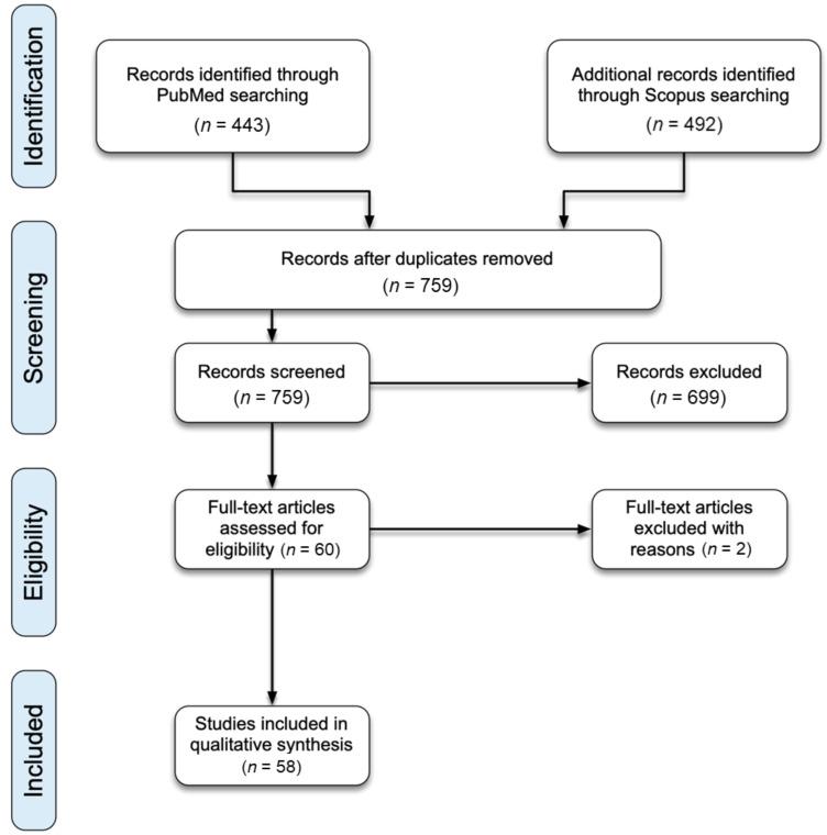 https://cdn.ncbi.nlm.nih.gov/pmc/blobs/5785/8201112/c9d12e0445ce/cancers-13-02837-g001.jpg