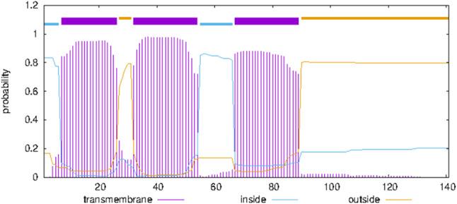 https://cdn.ncbi.nlm.nih.gov/pmc/blobs/5787/11526630/016874b3abff/12864_2024_10937_Fig2_HTML.jpg