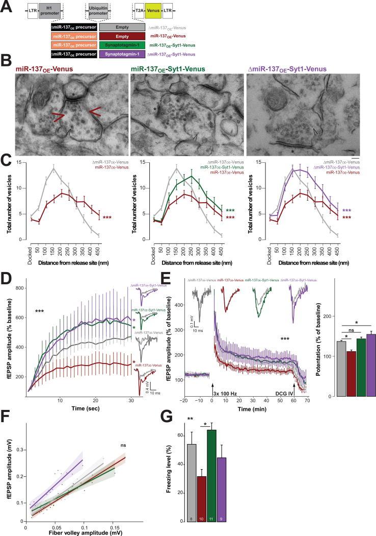 https://cdn.ncbi.nlm.nih.gov/pmc/blobs/5788/4506960/8abe4dff7441/nihms684787f6.jpg