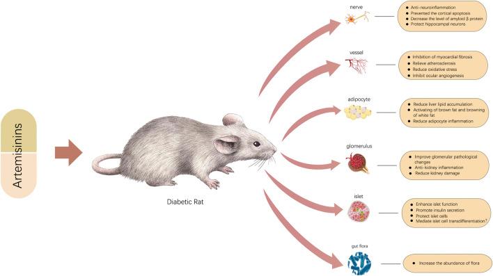 https://cdn.ncbi.nlm.nih.gov/pmc/blobs/5788/7768903/37d8c1dc86f2/fphar-11-585487-g002.jpg