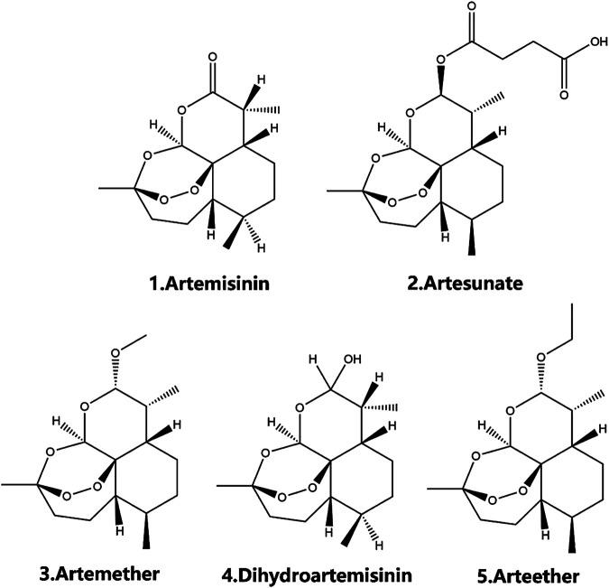 https://cdn.ncbi.nlm.nih.gov/pmc/blobs/5788/7768903/d00c5b8d3b11/fphar-11-585487-g001.jpg