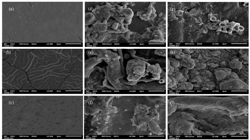 https://cdn.ncbi.nlm.nih.gov/pmc/blobs/5789/11511331/5ebf38bf08f1/polymers-16-02940-g007.jpg