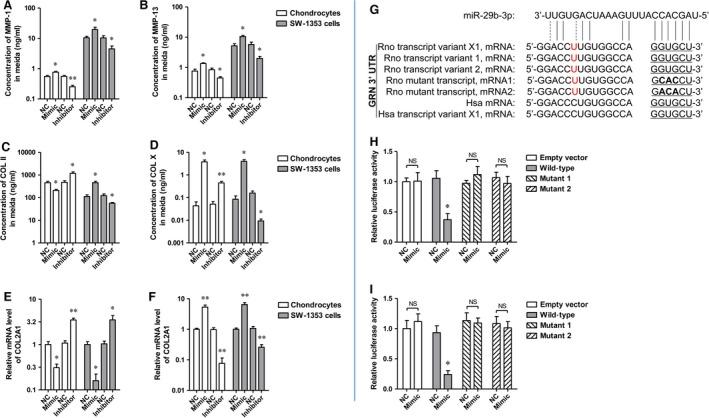 https://cdn.ncbi.nlm.nih.gov/pmc/blobs/5789/5706578/2945ee1d1d91/JCMM-21-3347-g005.jpg