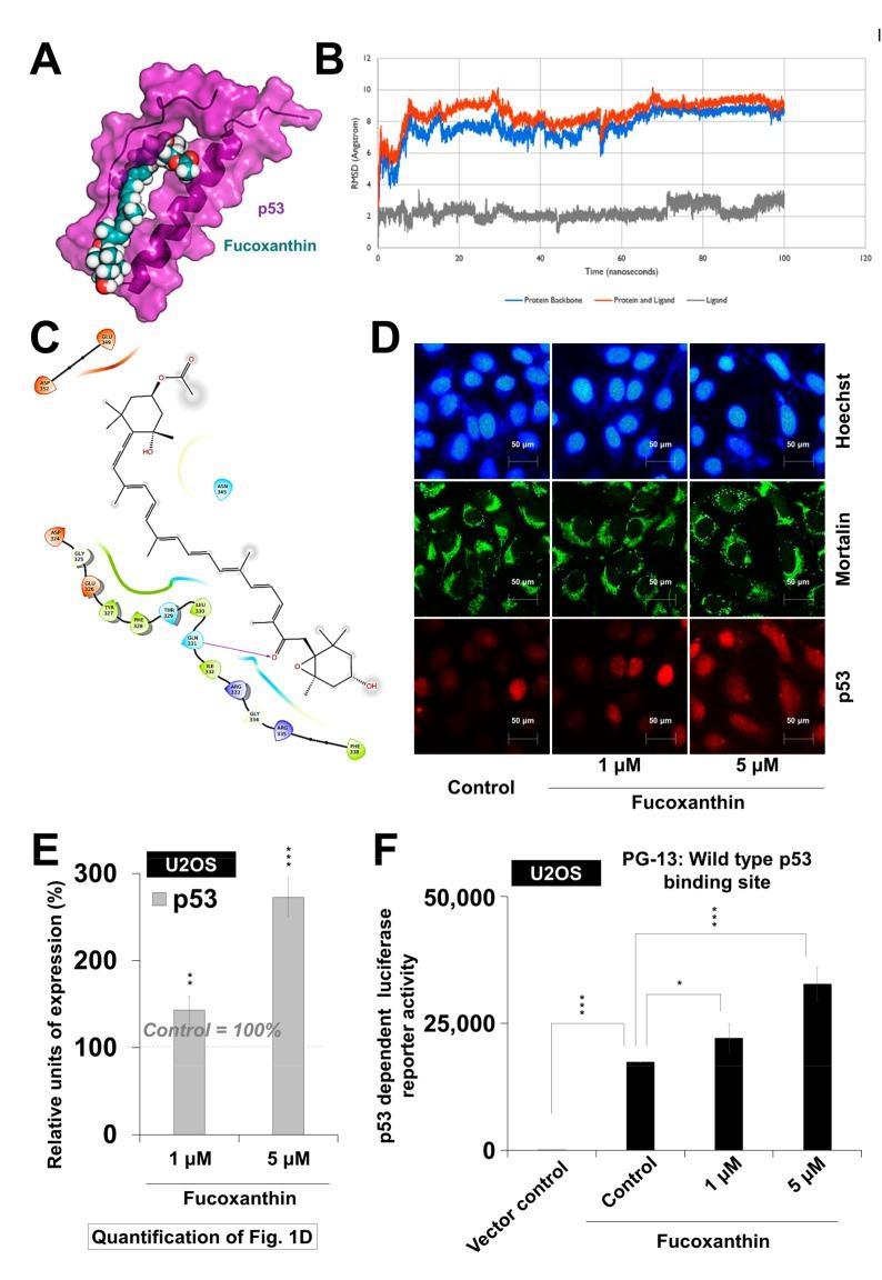 https://cdn.ncbi.nlm.nih.gov/pmc/blobs/5789/6627158/353de358ca23/marinedrugs-17-00338-g001.jpg