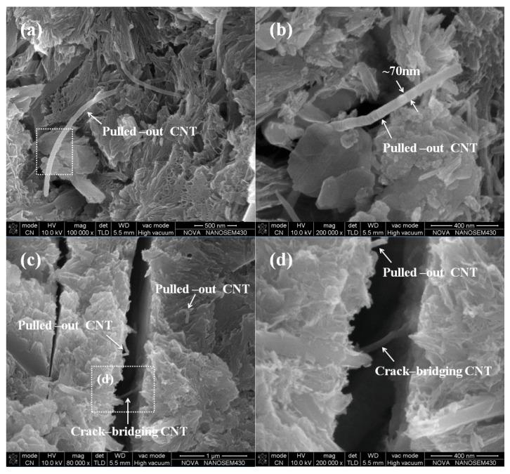 https://cdn.ncbi.nlm.nih.gov/pmc/blobs/578a/5456816/bdf1a9a459f7/materials-09-00419-g007.jpg