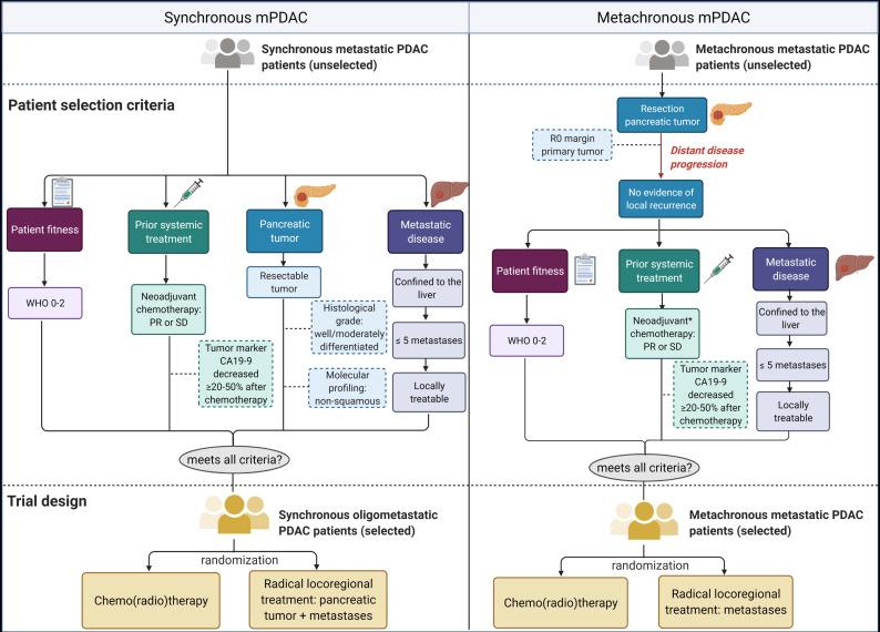 https://cdn.ncbi.nlm.nih.gov/pmc/blobs/578a/8036519/6d6b4a152278/cancers-13-01608-g002.jpg