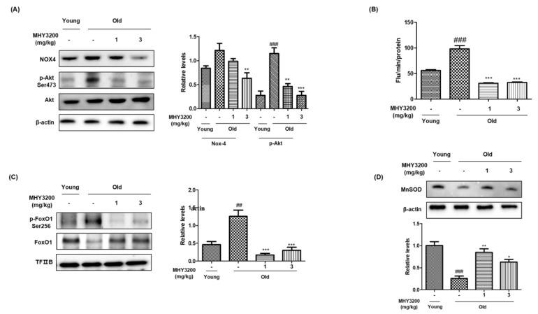 https://cdn.ncbi.nlm.nih.gov/pmc/blobs/578a/8198004/5e7cdfb48f50/molecules-26-03197-g002.jpg
