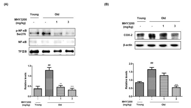 https://cdn.ncbi.nlm.nih.gov/pmc/blobs/578a/8198004/f75bd3f869a0/molecules-26-03197-g003.jpg