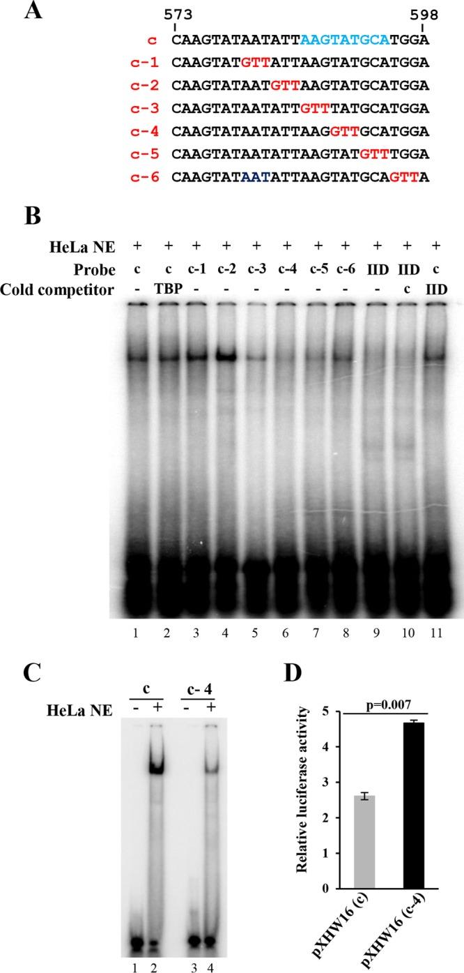 https://cdn.ncbi.nlm.nih.gov/pmc/blobs/578c/5449659/7ae248468f7a/mbo0031733240005.jpg