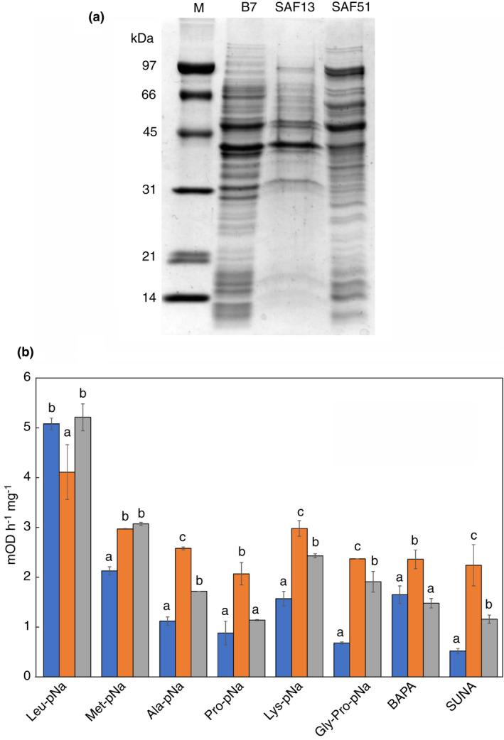 https://cdn.ncbi.nlm.nih.gov/pmc/blobs/578c/9540988/2d37f7796d02/JAM-133-1769-g009.jpg