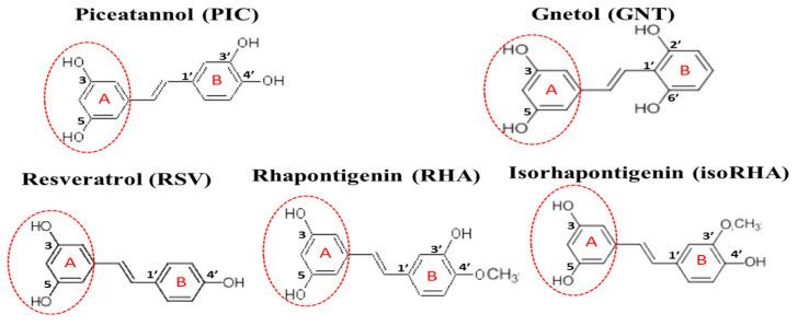 https://cdn.ncbi.nlm.nih.gov/pmc/blobs/5790/10376691/b1da98019ddb/antioxidants-12-01362-g001.jpg