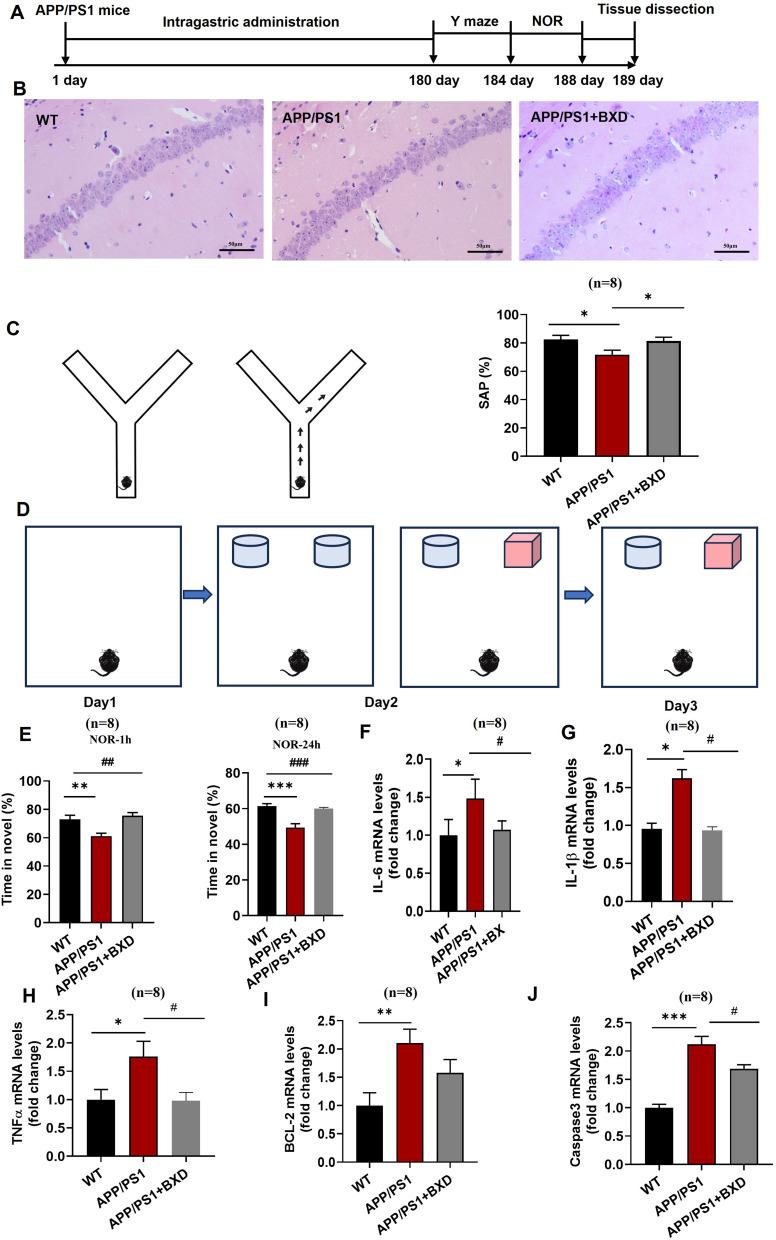 https://cdn.ncbi.nlm.nih.gov/pmc/blobs/5791/11934878/55ab3d8912e9/DDDT-19-2133-g0007.jpg