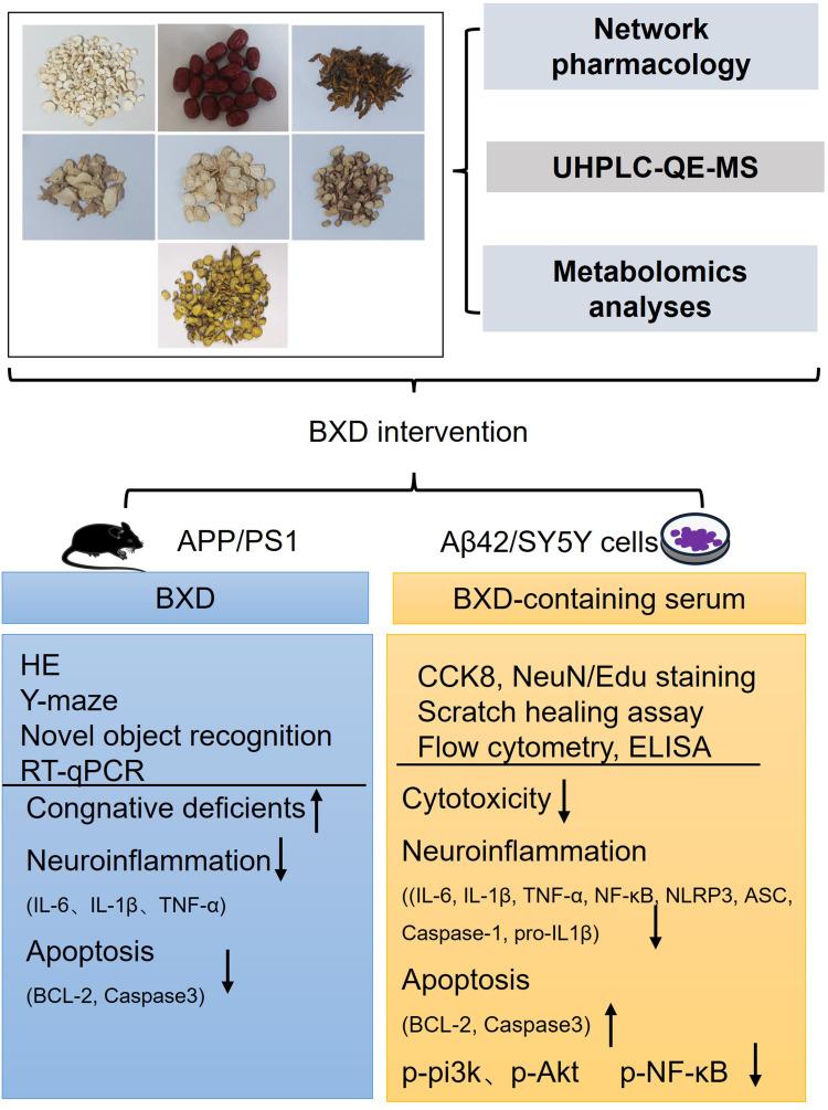 https://cdn.ncbi.nlm.nih.gov/pmc/blobs/5791/11934878/7f52bb874da2/DDDT-19-2133-g0001.jpg
