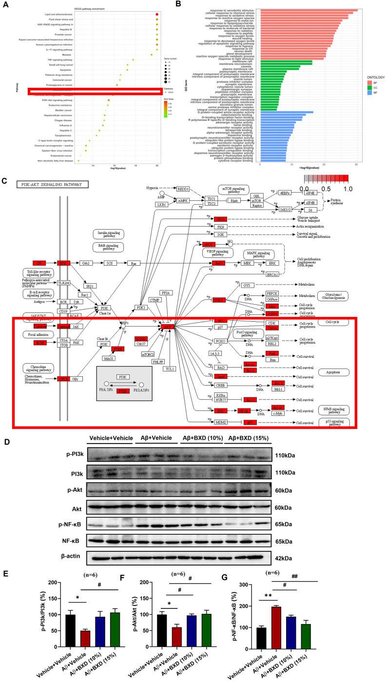 https://cdn.ncbi.nlm.nih.gov/pmc/blobs/5791/11934878/f6115165867e/DDDT-19-2133-g0006.jpg