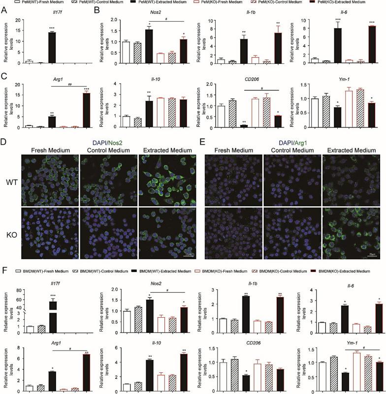 https://cdn.ncbi.nlm.nih.gov/pmc/blobs/5791/8285852/635ee98dbd22/40478_2021_1227_Fig6_HTML.jpg