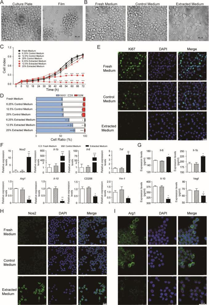 https://cdn.ncbi.nlm.nih.gov/pmc/blobs/5791/8285852/fa6d5df3c94d/40478_2021_1227_Fig5_HTML.jpg
