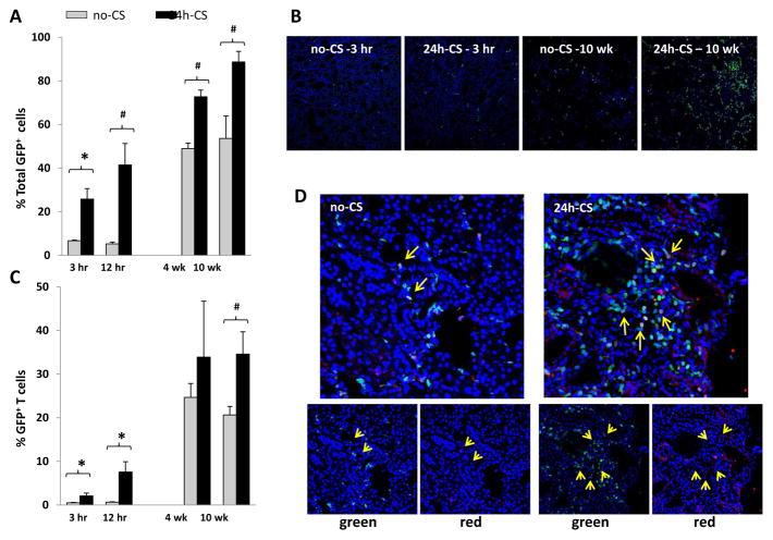 https://cdn.ncbi.nlm.nih.gov/pmc/blobs/5792/3340432/5b7f1e787155/nihms344256f6.jpg