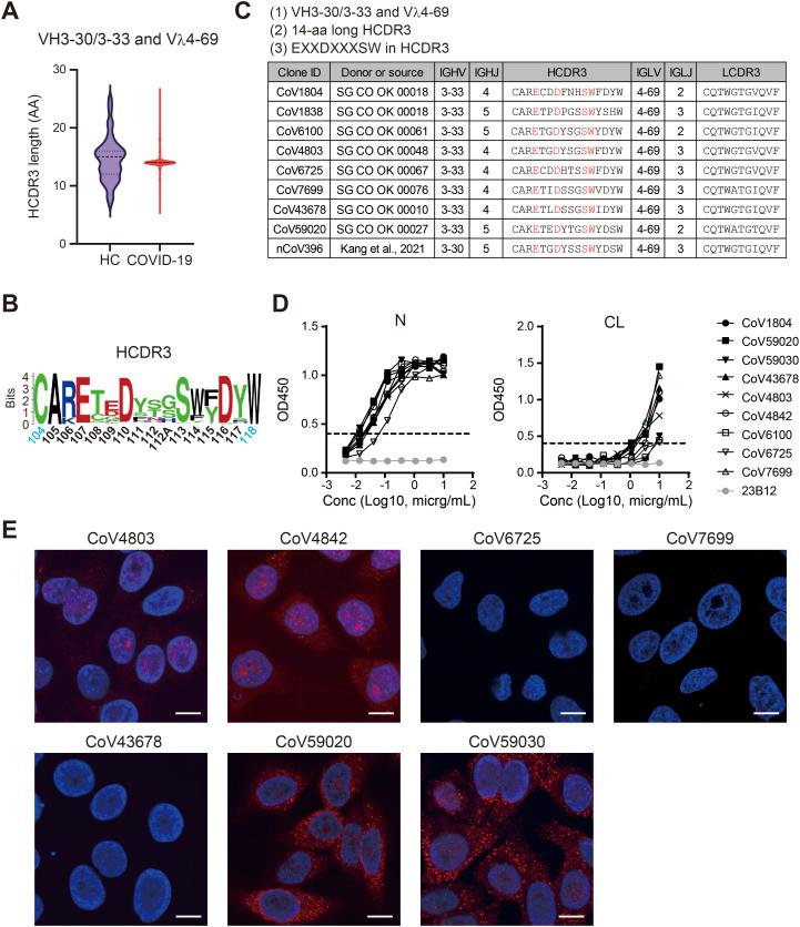 https://cdn.ncbi.nlm.nih.gov/pmc/blobs/5795/11408605/06bc36f48e12/LSA-2024-02774_Fig3.jpg