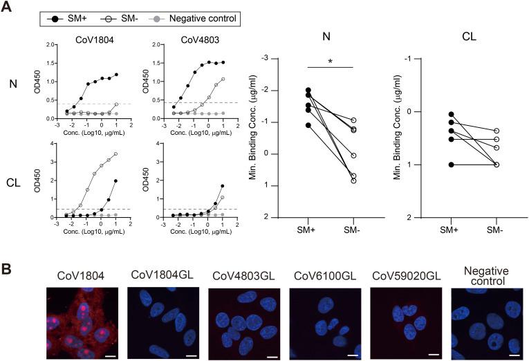 https://cdn.ncbi.nlm.nih.gov/pmc/blobs/5795/11408605/99c883cd3286/LSA-2024-02774_Fig5.jpg