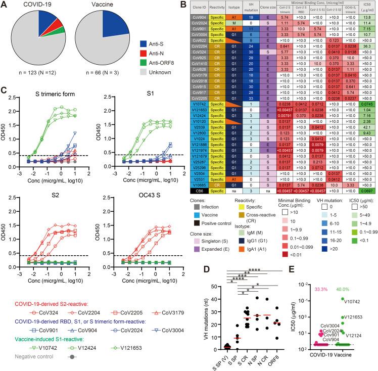 https://cdn.ncbi.nlm.nih.gov/pmc/blobs/5795/11408605/a7a8ea7ea9c0/LSA-2024-02774_Fig1.jpg