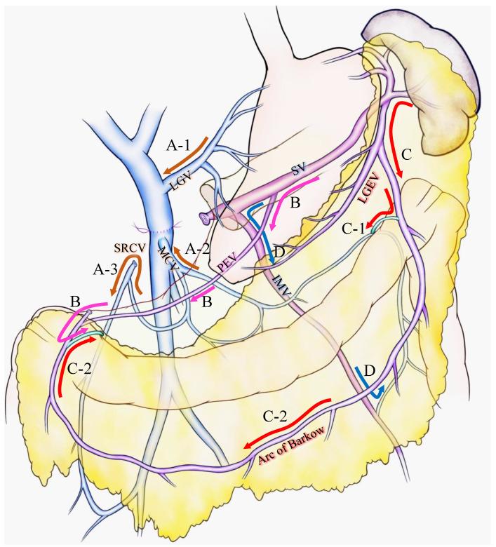 https://cdn.ncbi.nlm.nih.gov/pmc/blobs/5796/8582504/15fefc845001/cancers-13-05334-g001.jpg