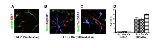 https://cdn.ncbi.nlm.nih.gov/pmc/blobs/5797/3142219/5941e55425f0/1756-6606-4-28-1.jpg