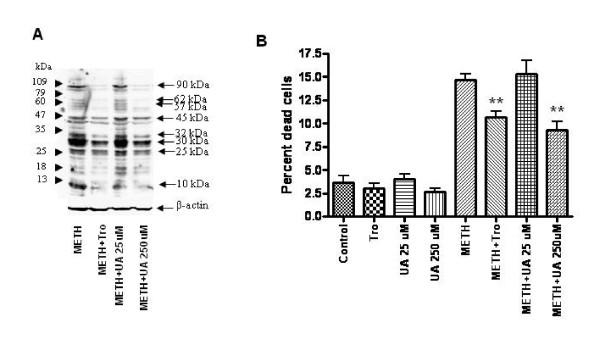 https://cdn.ncbi.nlm.nih.gov/pmc/blobs/5797/3142219/f08ee6981c23/1756-6606-4-28-5.jpg