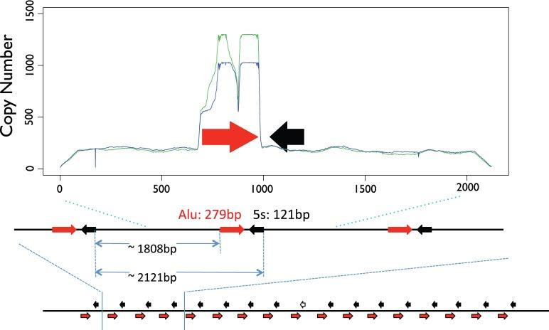 https://cdn.ncbi.nlm.nih.gov/pmc/blobs/5797/5203791/524cd730f762/evw257f2p.jpg