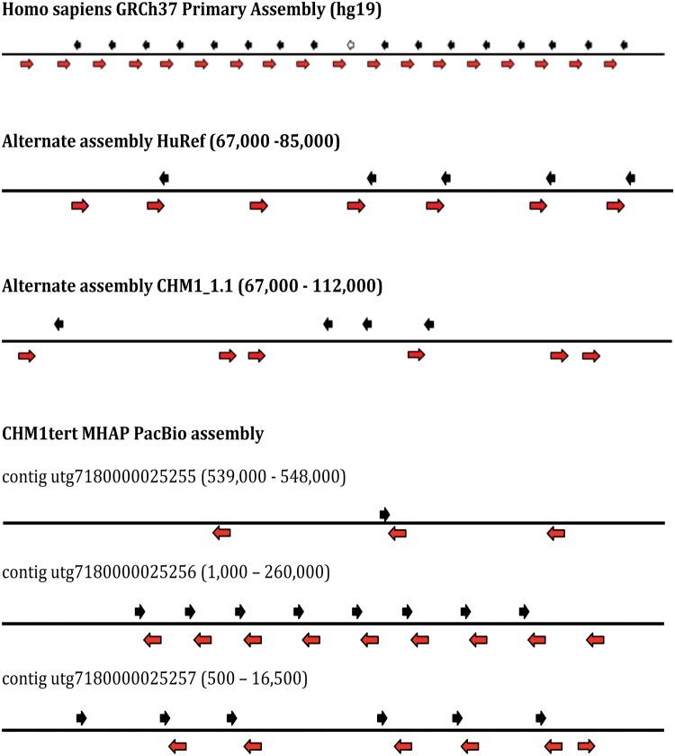https://cdn.ncbi.nlm.nih.gov/pmc/blobs/5797/5203791/91015b9c9d06/evw257f1p.jpg