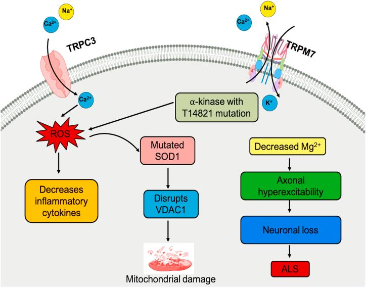 https://cdn.ncbi.nlm.nih.gov/pmc/blobs/5798/10272313/604ca324289d/gr4.jpg