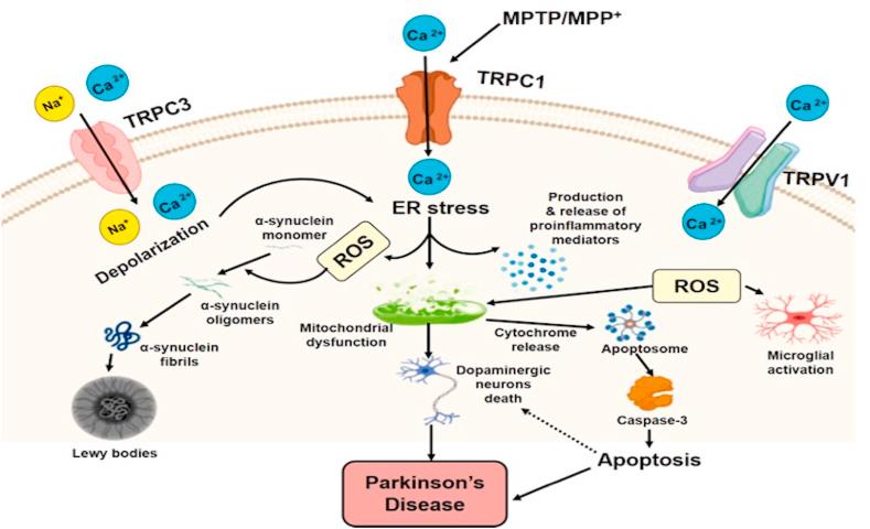 https://cdn.ncbi.nlm.nih.gov/pmc/blobs/5798/10272313/67386379593a/gr2.jpg