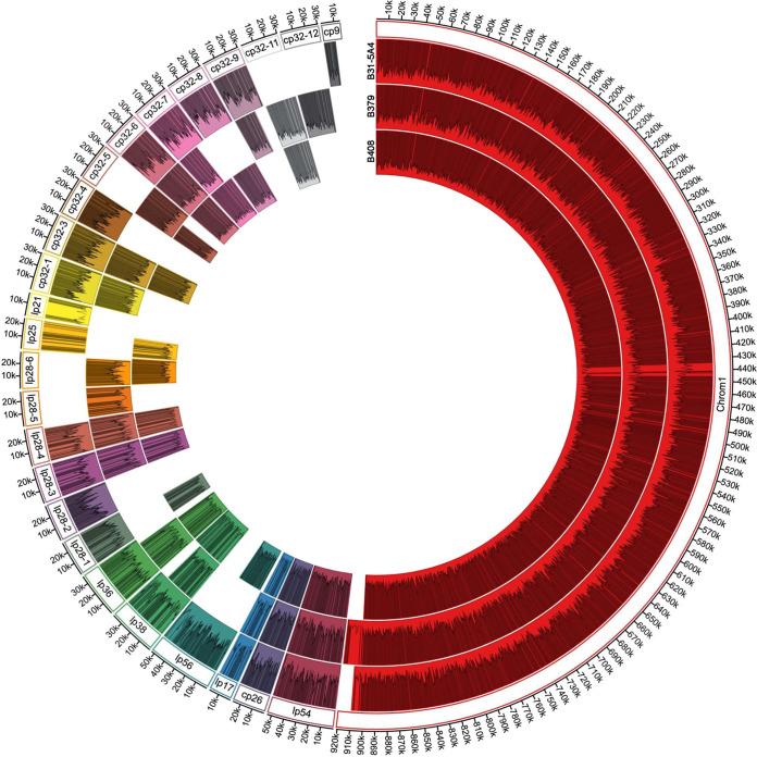 https://cdn.ncbi.nlm.nih.gov/pmc/blobs/5798/9426539/39a6bf0a73fb/msystems.00488-22-f005.jpg