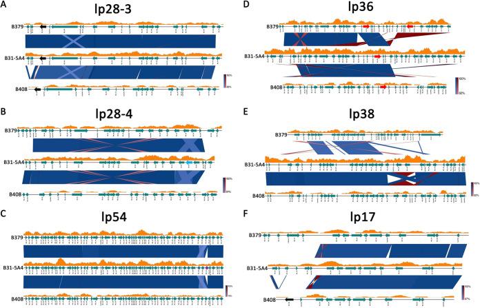 https://cdn.ncbi.nlm.nih.gov/pmc/blobs/5798/9426539/4107225d81b9/msystems.00488-22-f006.jpg