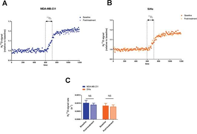 https://cdn.ncbi.nlm.nih.gov/pmc/blobs/5799/5340254/f86de8603f4f/oncotarget-07-81741-g001.jpg
