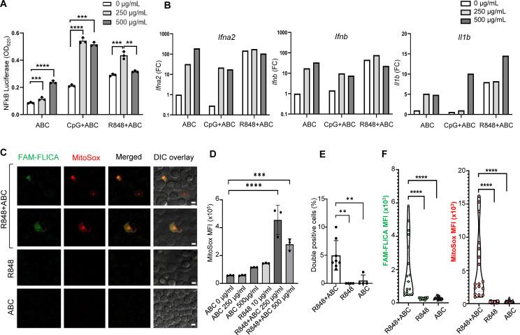 https://cdn.ncbi.nlm.nih.gov/pmc/blobs/579a/12178900/2d8bb579b28d/fimmu-16-1612451-g001.jpg