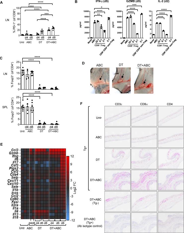 https://cdn.ncbi.nlm.nih.gov/pmc/blobs/579a/12178900/3bcfb8bd838b/fimmu-16-1612451-g002.jpg