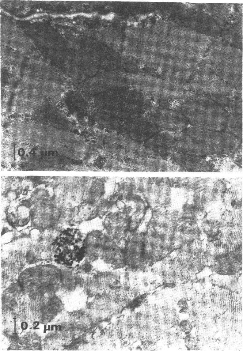 https://cdn.ncbi.nlm.nih.gov/pmc/blobs/579c/1916797/6de4c5db73cd/brjpharm00345-0032-a.jpg