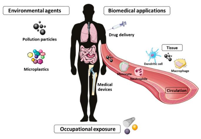 https://cdn.ncbi.nlm.nih.gov/pmc/blobs/579c/9181910/30f18a059e19/nanomaterials-12-01810-g004.jpg