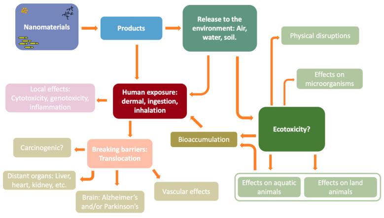 https://cdn.ncbi.nlm.nih.gov/pmc/blobs/579c/9181910/8129e15baa57/nanomaterials-12-01810-g001.jpg