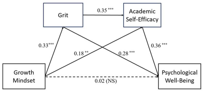https://cdn.ncbi.nlm.nih.gov/pmc/blobs/579d/12109404/ff67aa00fd71/behavsci-15-00621-g002.jpg