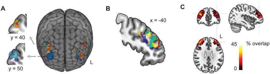https://cdn.ncbi.nlm.nih.gov/pmc/blobs/579e/10404717/d79755726042/nihms-1898327-f0003.jpg