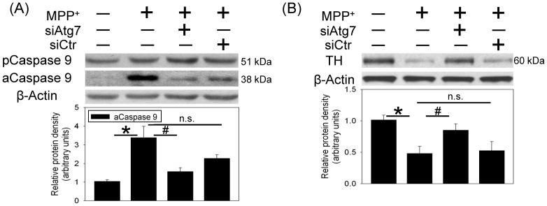 https://cdn.ncbi.nlm.nih.gov/pmc/blobs/57a0/3960112/f372685f5323/pone.0091074.g003.jpg