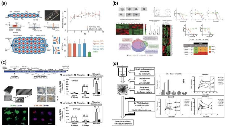 https://cdn.ncbi.nlm.nih.gov/pmc/blobs/57a1/10180184/f227286255c0/molecules-28-03683-g003.jpg