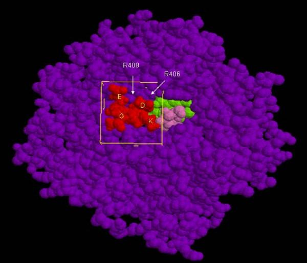 https://cdn.ncbi.nlm.nih.gov/pmc/blobs/57a1/1781467/2acd12625f83/1471-2105-8-11-4.jpg