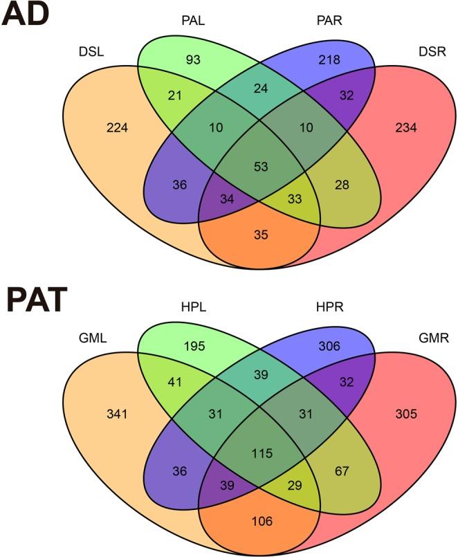 https://cdn.ncbi.nlm.nih.gov/pmc/blobs/57a3/6426880/247b72202c31/41598_2019_41160_Fig5_HTML.jpg